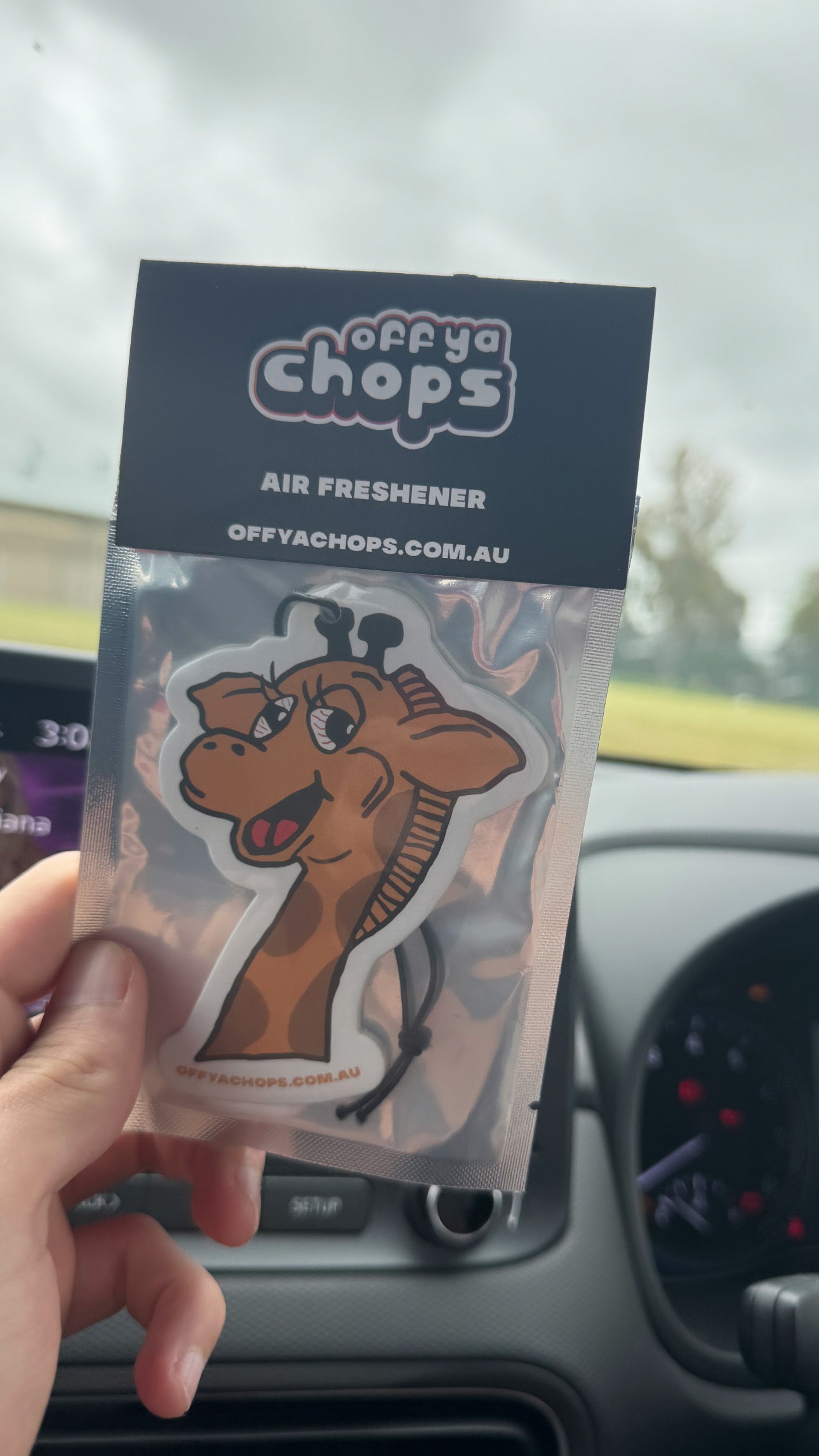 Happy Giraffe Air Freshener